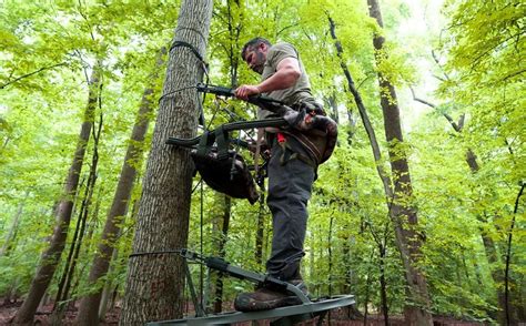 Image result for Using Summit Climbing Tree Stand