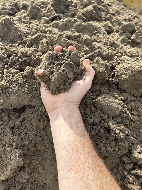 Fill Dirt - Delivery Near Me