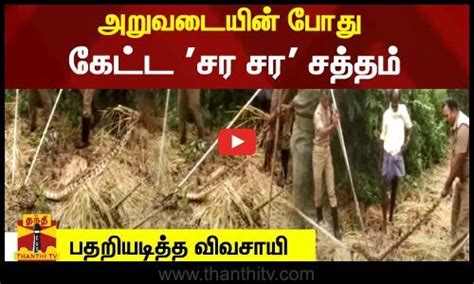 Image result for Python Classes Near by Vellore