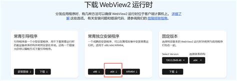 Webview2 Enable JavaScript 的图像结果