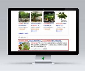 沈阳seo网站推广优化 的图像结果