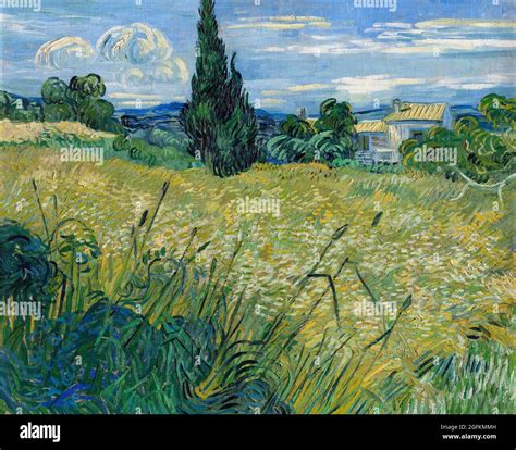 Vincent van Gogh – Green Wheat Field with Cypress (1889) famous ...