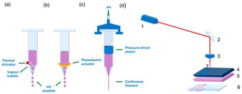 Pharmaceuticals | Special Issue : Advances in 3D Printed Drug ...