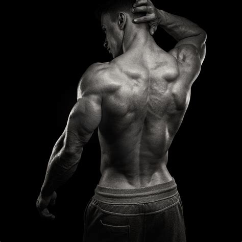 展示背部肌肉的健身男人摄影图片 - 三原图库