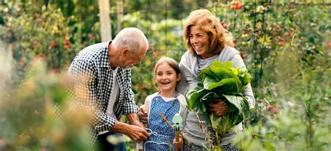 Is Osteoporosis Genetic? | AlgaeCal