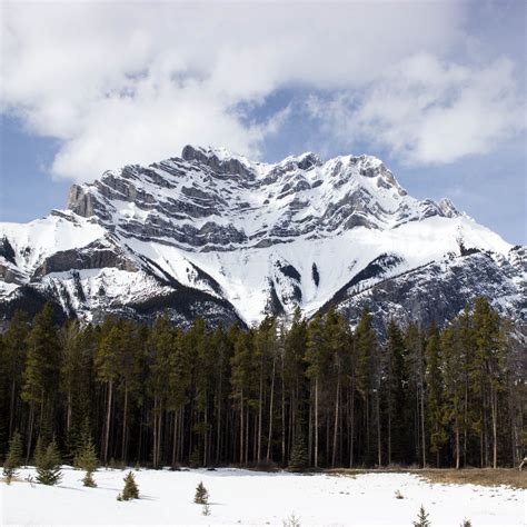 Download wallpaper 3415x3415 mountain, top, trees, snow, sky ipad pro ...