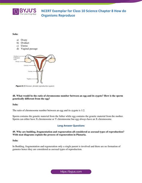 Lesson 8 Science Class 10 的图像结果