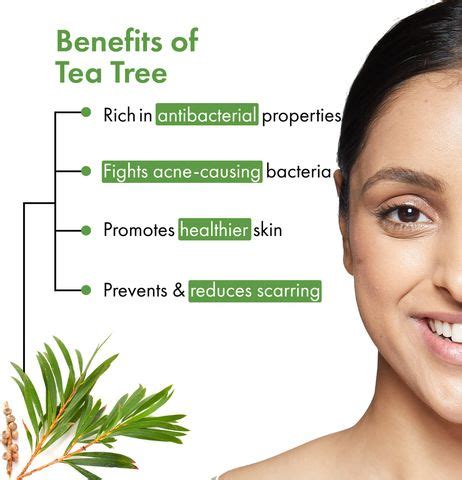 GOOD VIBES Tea Tree Anti - Acne Shower Gel: Buy GOOD VIBES Tea Tree ...