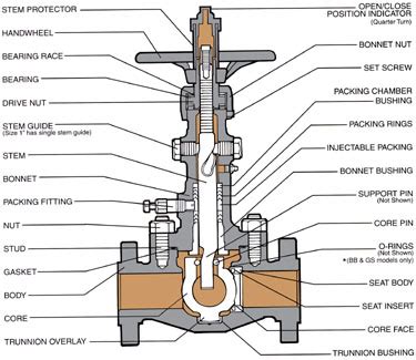 Image result for Orbit Valve Problem