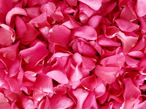 வேகமான இதய துடிப்பு, Heart Palpitations Remedy | home remedy for heart ...