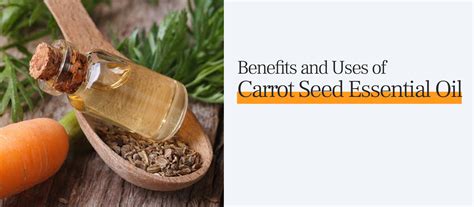 Carrot Oil Benefits