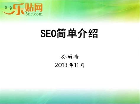 seo培训_word文档在线阅读与下载_无忧文档