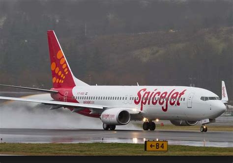 Image result for SpiceJet TV