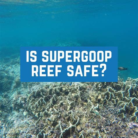 Is Supergoop Reef Safe? | Ask Mac