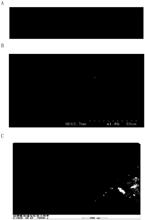 Functional material with controllable degradation rate and nerve regeneration guiding function ...