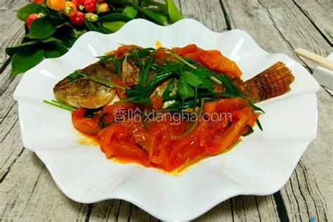 番茄鱼的做法_【图解】番茄鱼怎么做如何做好吃_番茄鱼家常做法大全_貝崽_豆果美食
