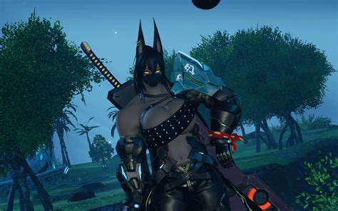 Image result for PSO2 Hunter Guide