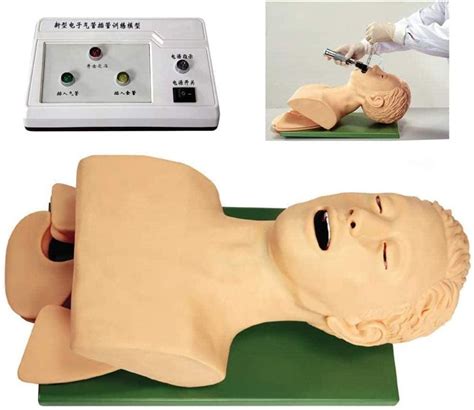Buy Human Model, 11 Oral Nasal Intubation Manikin Teaching Model ...
