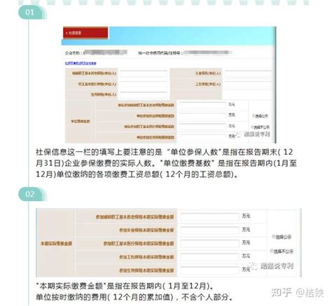 工商年报中的社保信息怎么填？这里有数据可以帮到你！