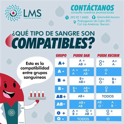 Los tipo de sangre que son compatibles - Información de Valor