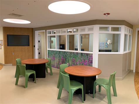 Spring harbor hospital – Langford & Low