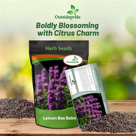 Lemon Balm Seed For Planting Your Own Herbs - Sweet Balm Herb Seed