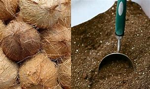 Image result for Coconut Coir Potting Soil