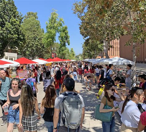 Usc Clubs And Organizations