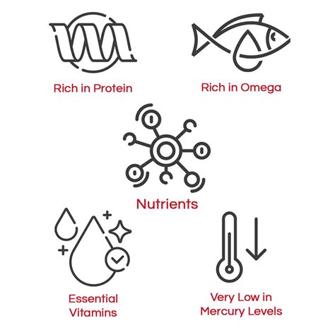 Nordic Catch Super Colossal Black Tiger Shrimp, India | Ubuy