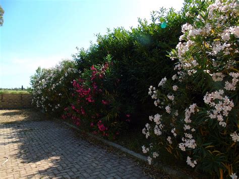 RESIDENCE SANTA ROSA (Rome) - Hotel Reviews & Photos - Tripadvisor