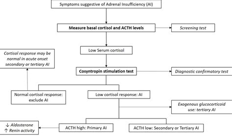 Adrenal Insufficiency Pathophysiology