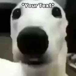 Rude Meme: Discover the Funniest Rude Memes Online Now