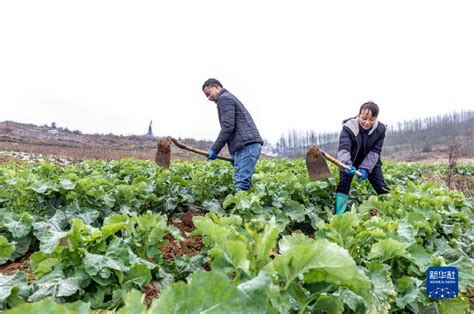 （新华全媒+）好雨知时节 黔地农事忙——贵州“雨水”节气春耕见闻-新华网