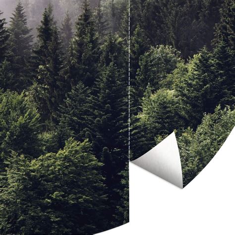 Round wall mural Foggy Trees in the Forest - non self-adhesive/self ...