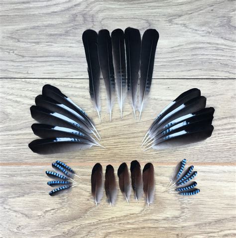Enchanting Crow Feathers: Celestial Charms for Good Luck and Fortune