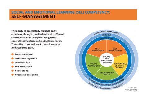 Self-Management 的图像结果