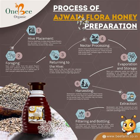 Ajwain flora honey production process - ONE BEE ORGANIC LLP - Steps of ...
