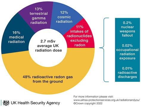 Radiation Scale Chart 的图像结果