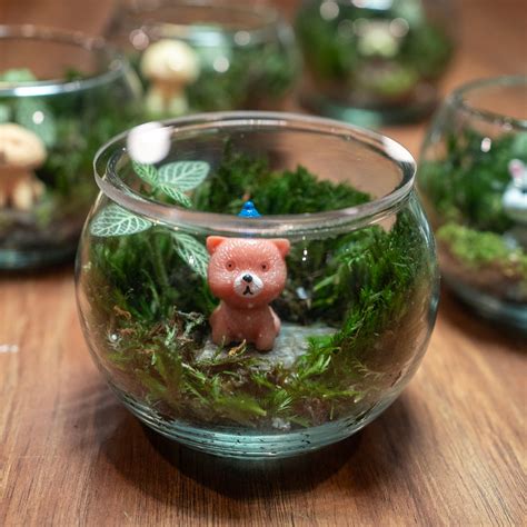 Oh My Dog Terrarium – bytheleaf