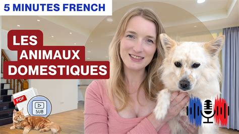 How to Use ÊTRE EN TRAIN DE in French