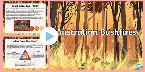 Australian Bushfires PowerPoint (teacher made) - Twinkl