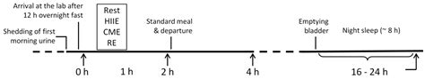 Effects of Different Exercise Modes on the Urinary Metabolic ...