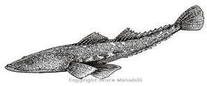Integrating Edge-Intelligence in AUV for Real-Time Fish Hotspot ...
