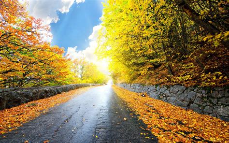 Image result for Autumn Homework EYFS