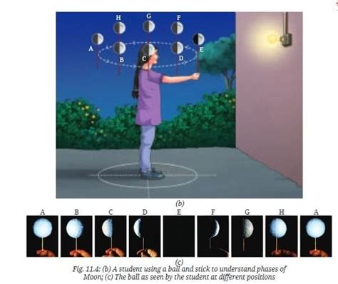 NCERT Based Activity: Keeping Time with the Skies - Science Class 8 PDF ...