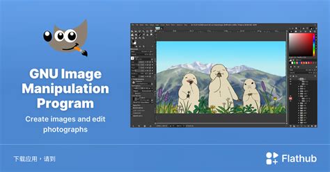 GIMP Tutorial Basic Photo Editing 的图像结果