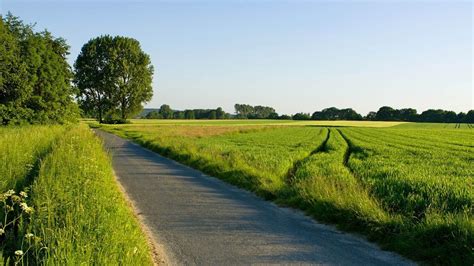 Country Landscape High Resolution 的图像结果