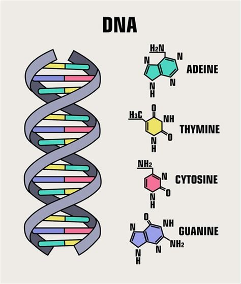 Image result for DNA Microarray Data