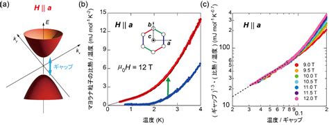 Image result for Program Shape