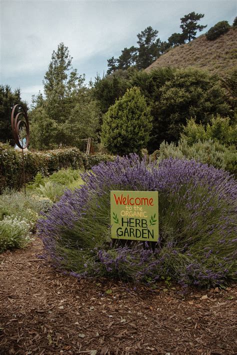 A Must-Visit Farm Stand on the Central Coast: Discover Earthbound Farm ...
